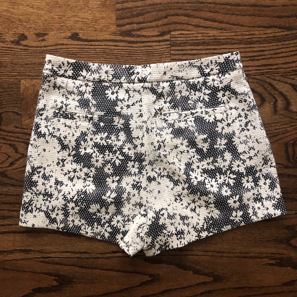 Printed Sam Edelman Shorts - Picture 3 of 5